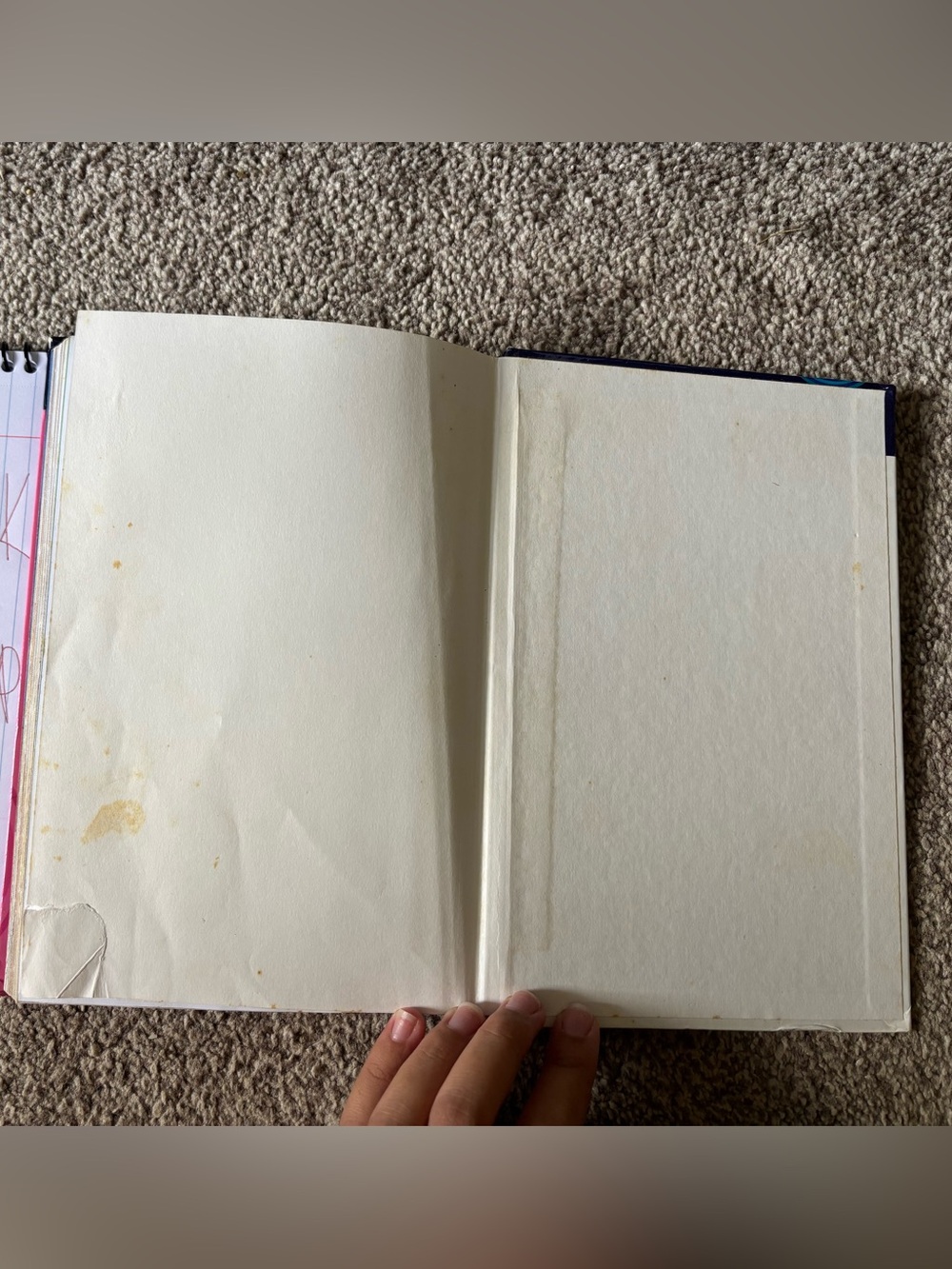 Disney Princess Book - Picture 4 of 8